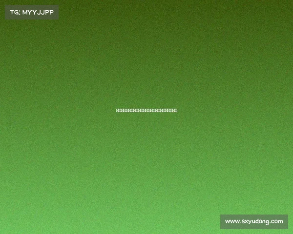 赛事票价问题深度解析：探讨消费者困境与市场调节对策